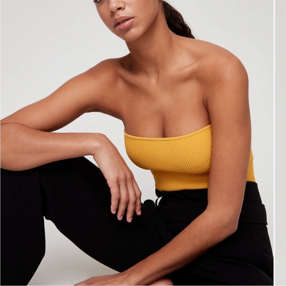 Aritzia Babaton Sculpt Knit Tube Top